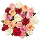 Click here to see other items on SALES list.